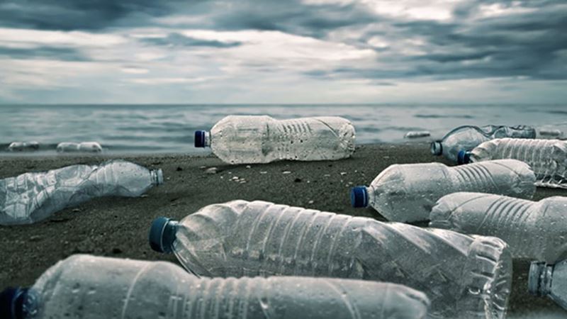 Plastflaskor på stranden