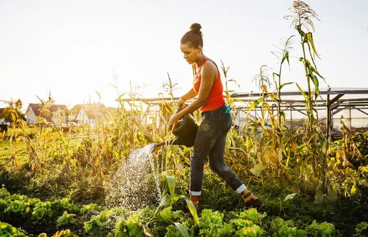 A young girl watering plants in a garden, promoting sustainability and environmental care