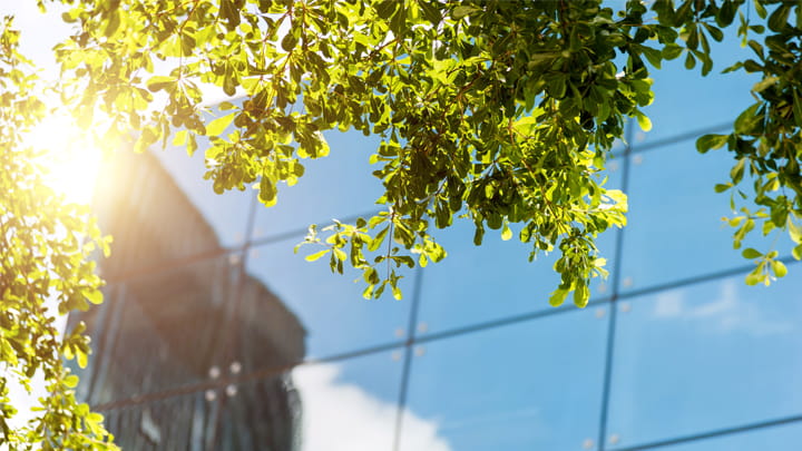 Ein Gebäude mit Glasfassade und ein Baum veranschaulichen die Verbindung von Natur und Architektur für eine grünere Zukunft.
