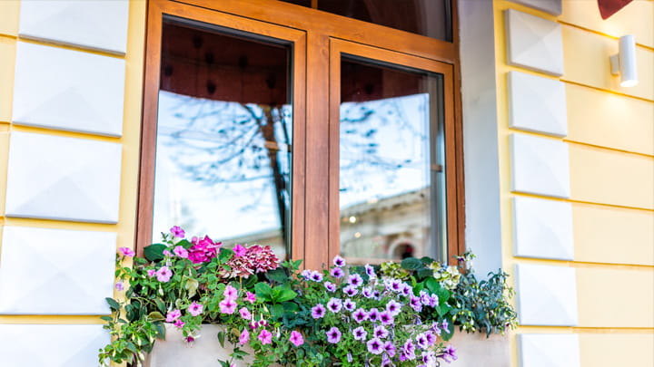 BAC_RC_DAW_Wooden Frame_1_2025_720x405