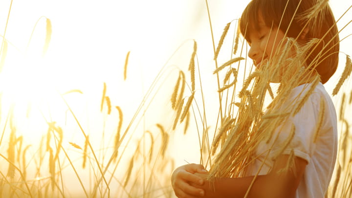 PS_Capabilities_Sustainable_Partner_720x405