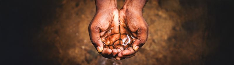 Hands holding water