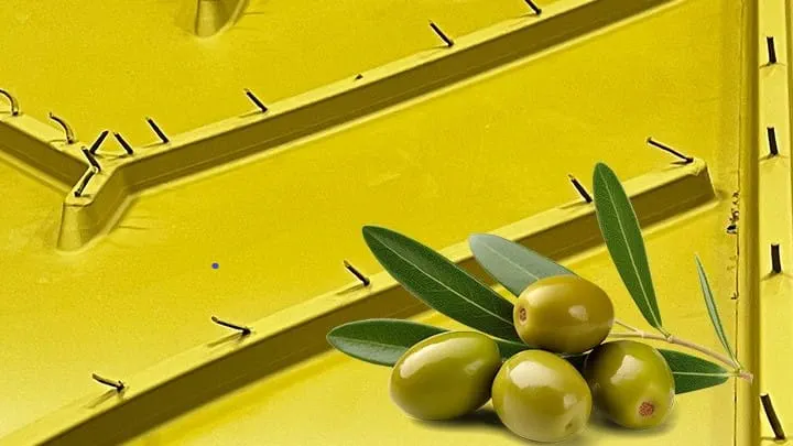 Profile view of a yellow Carryolive conveyor belt with a few olives on it