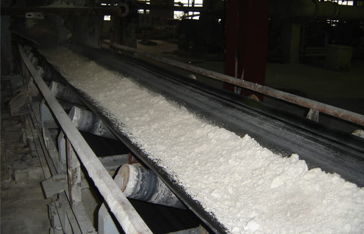 Conveyor Belt Special Purposes Cleancover 
