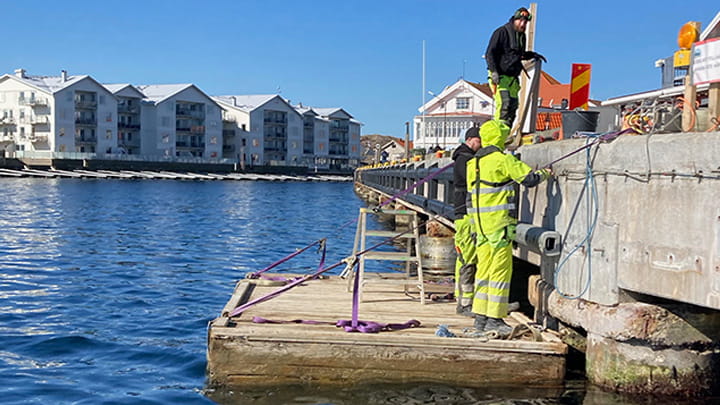 Workers installing protective fenders along a marina dock, with water and waterfront buildings nearby