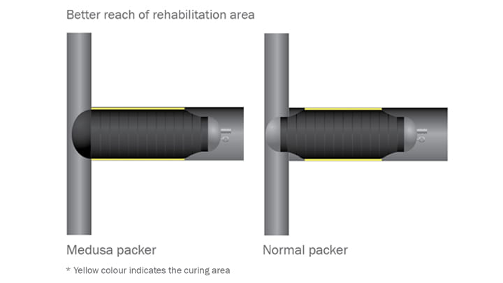  Medusa Packers product overview