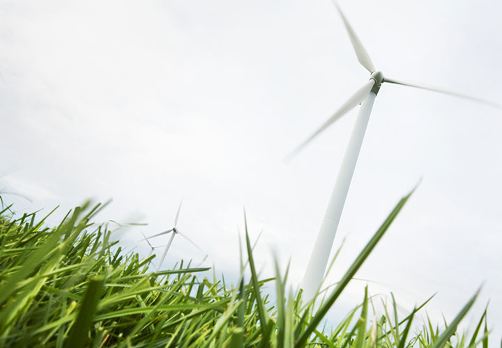 sustainability