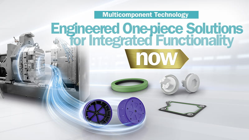 10_Multi_Component_Web News 800x450