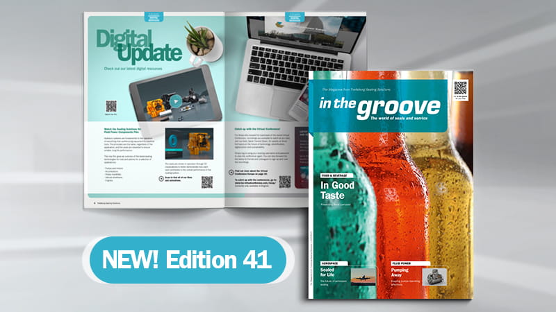 ITG-41_web-news-800x450