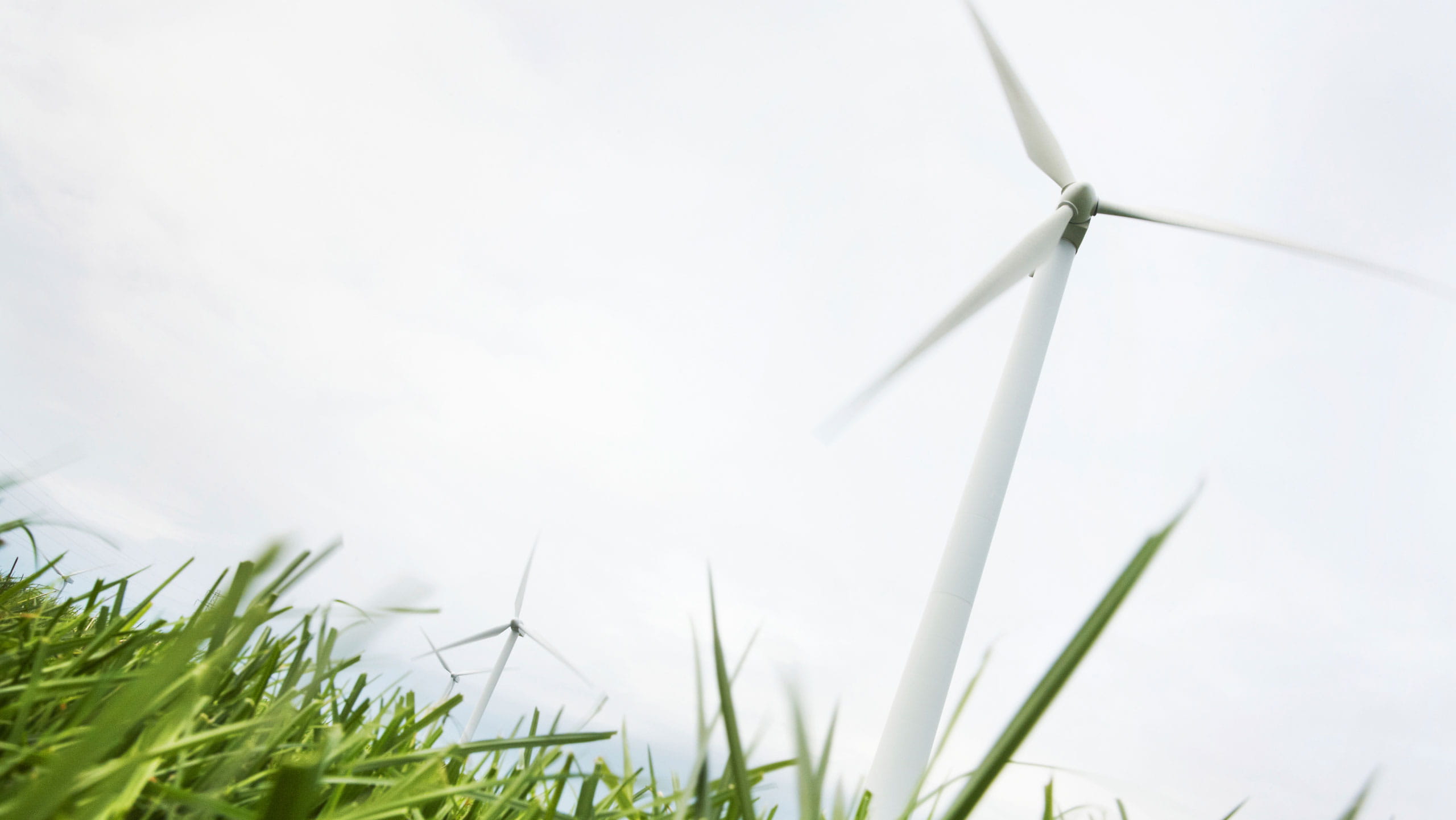 Trelleborg-Press-Picture-50-by-25_800x450px