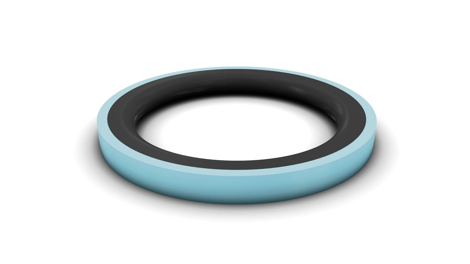 Turcon® Glyd Ring® II Hydraulic Piston Seals