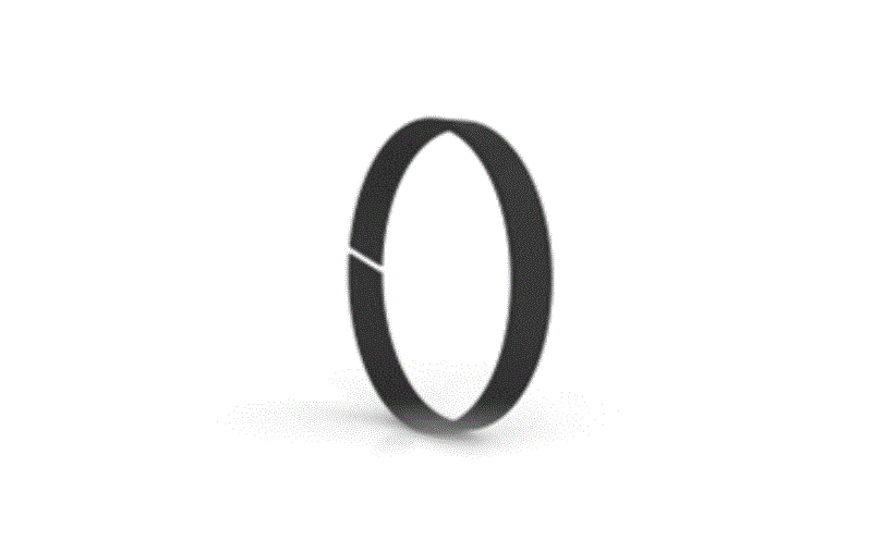 Aircraft Slydring® and Wear Ring