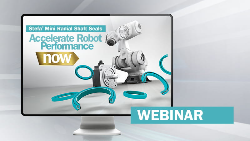 Webinar Stefa Mini RSS 800x450