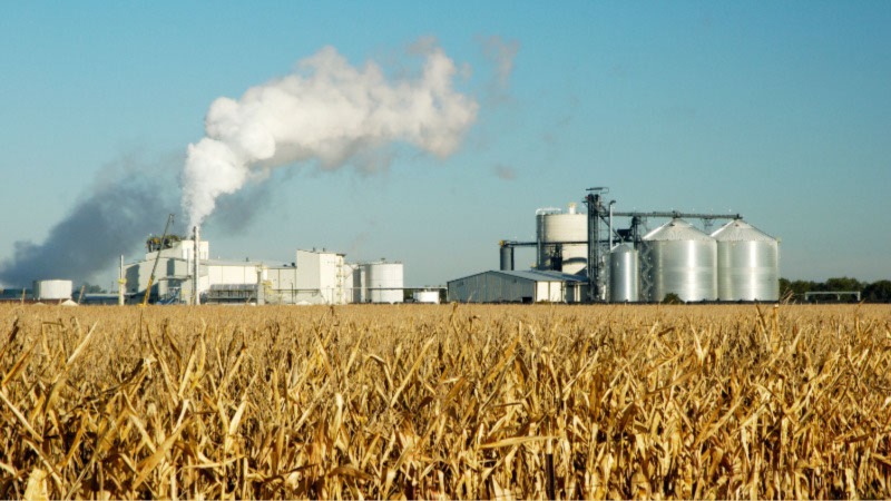 Biofuel-Production-Resized