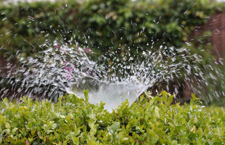 Open-field sprinkler irrigation